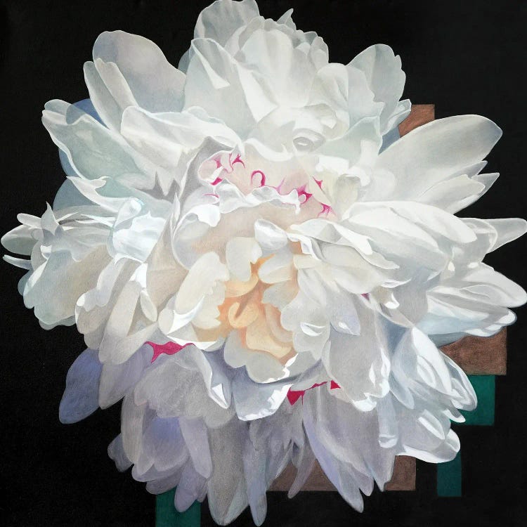 White Peony I