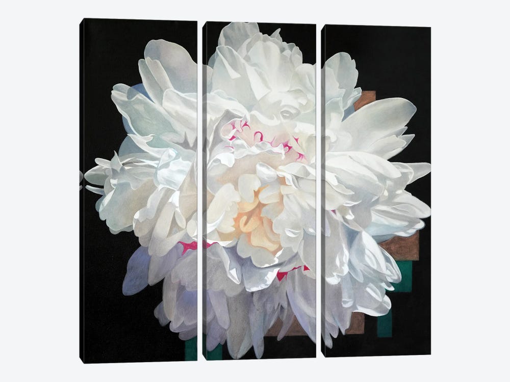 White Peony I by Richard Jurtitsch 3-piece Canvas Art