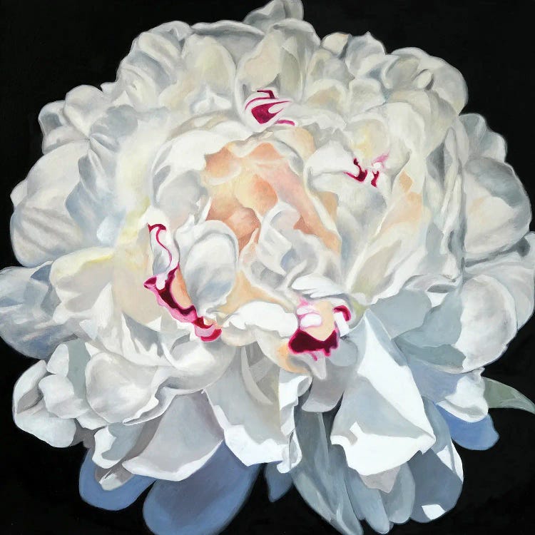 White Peony II