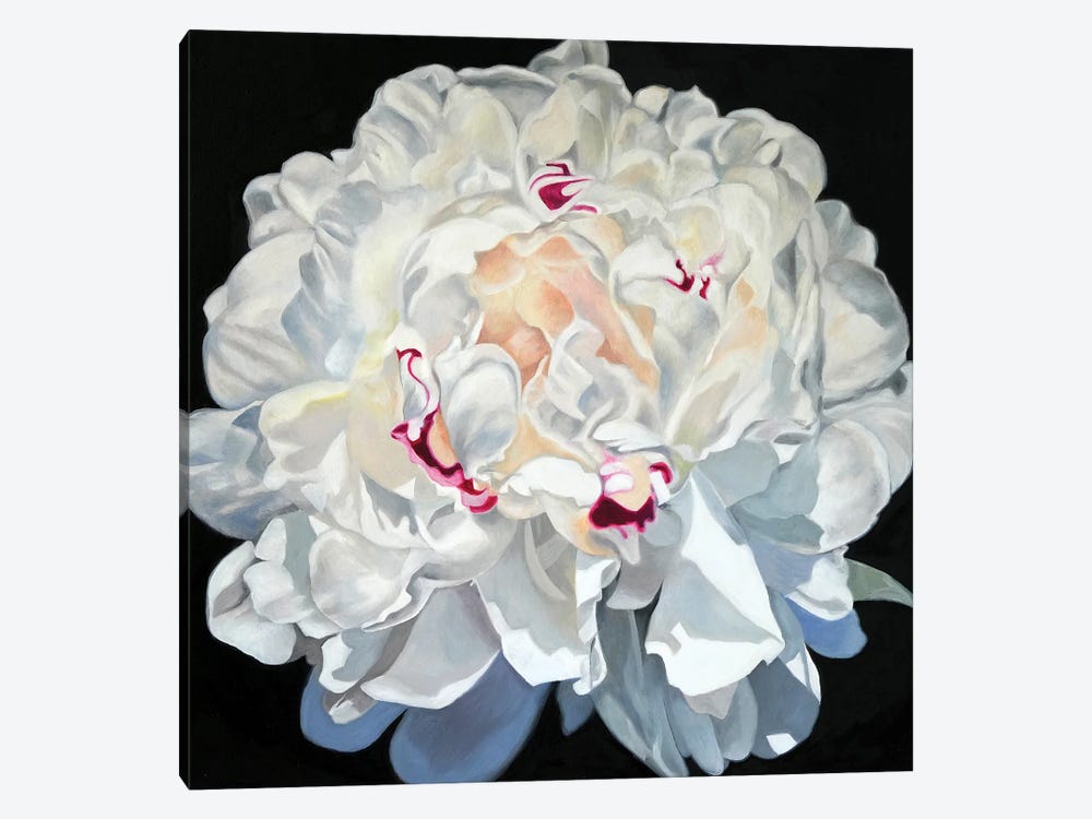 White Peony II by Richard Jurtitsch 1-piece Canvas Art Print