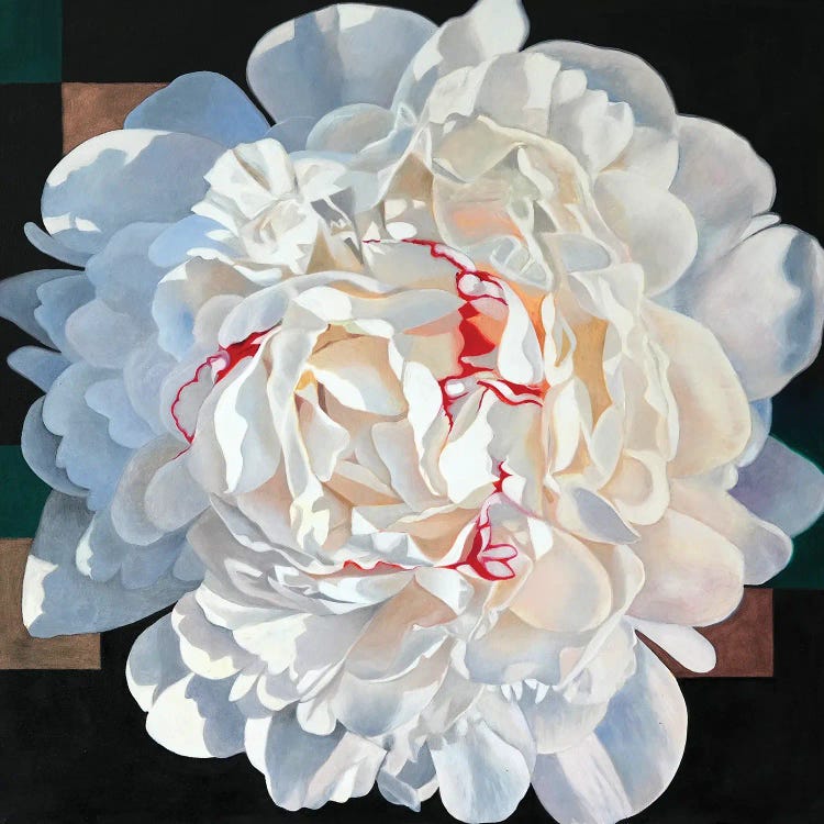 White Peony III