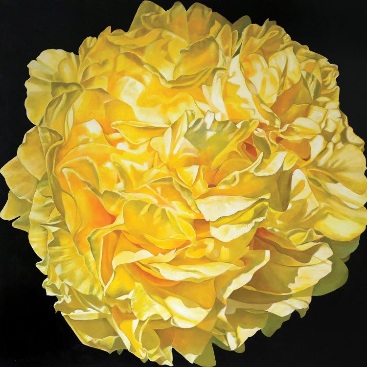 Yellow Peony