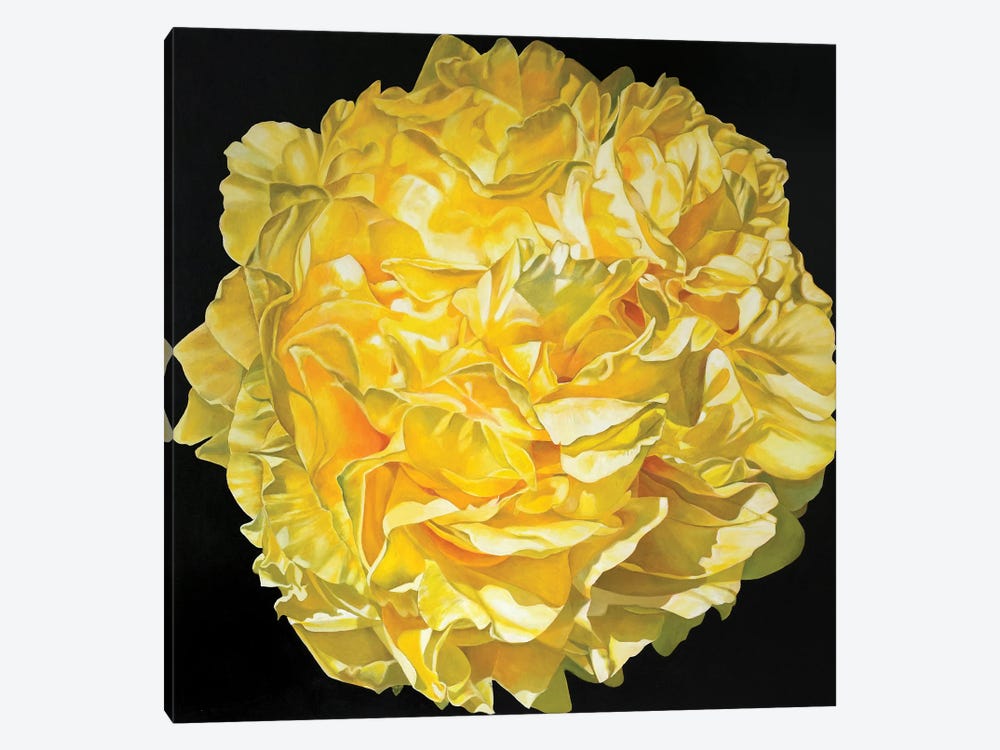Yellow Peony by Richard Jurtitsch 1-piece Canvas Art Print