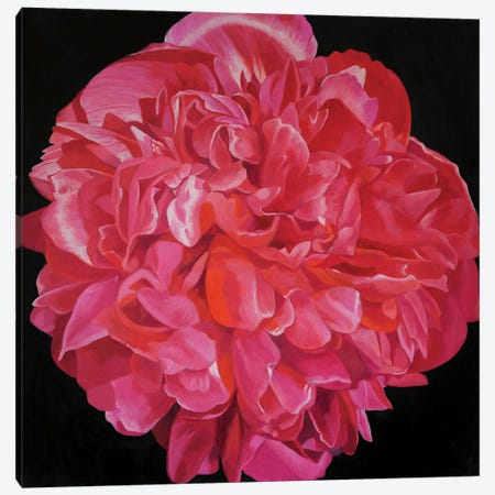 Pink Peony I Canvas Print #RJT8} by Richard Jurtitsch Canvas Artwork