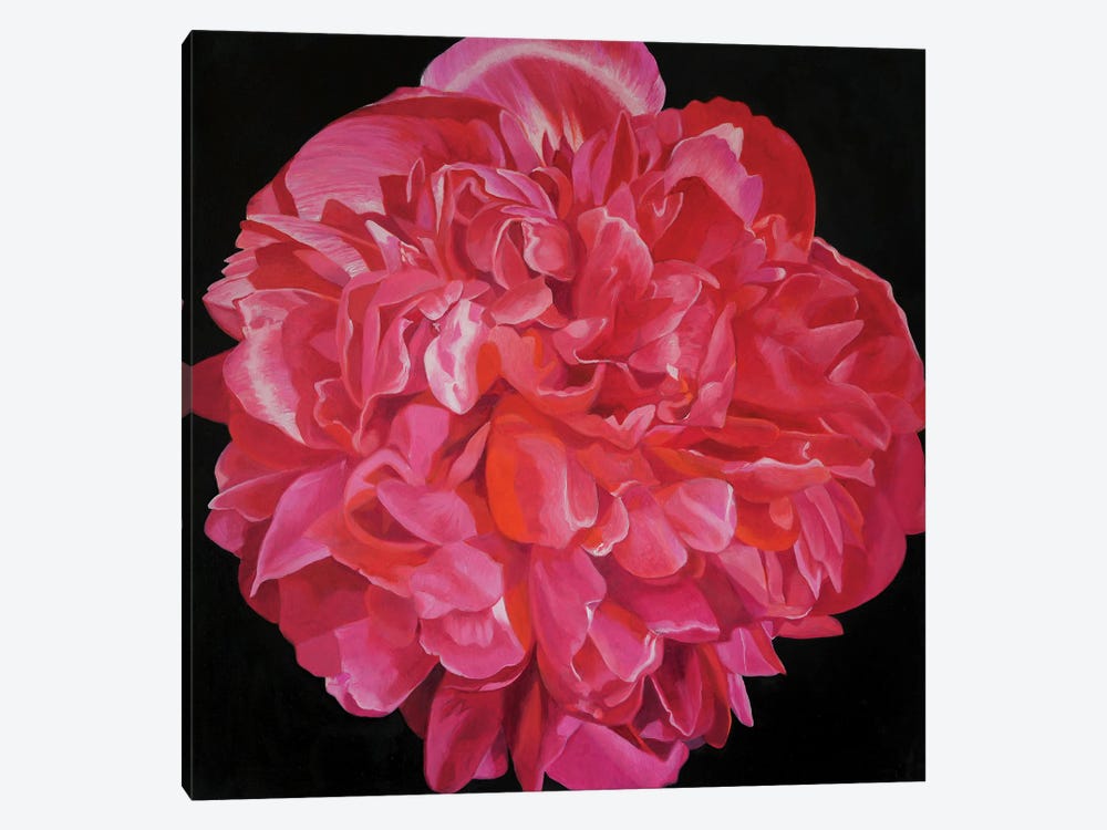 Pink Peony I by Richard Jurtitsch 1-piece Canvas Print