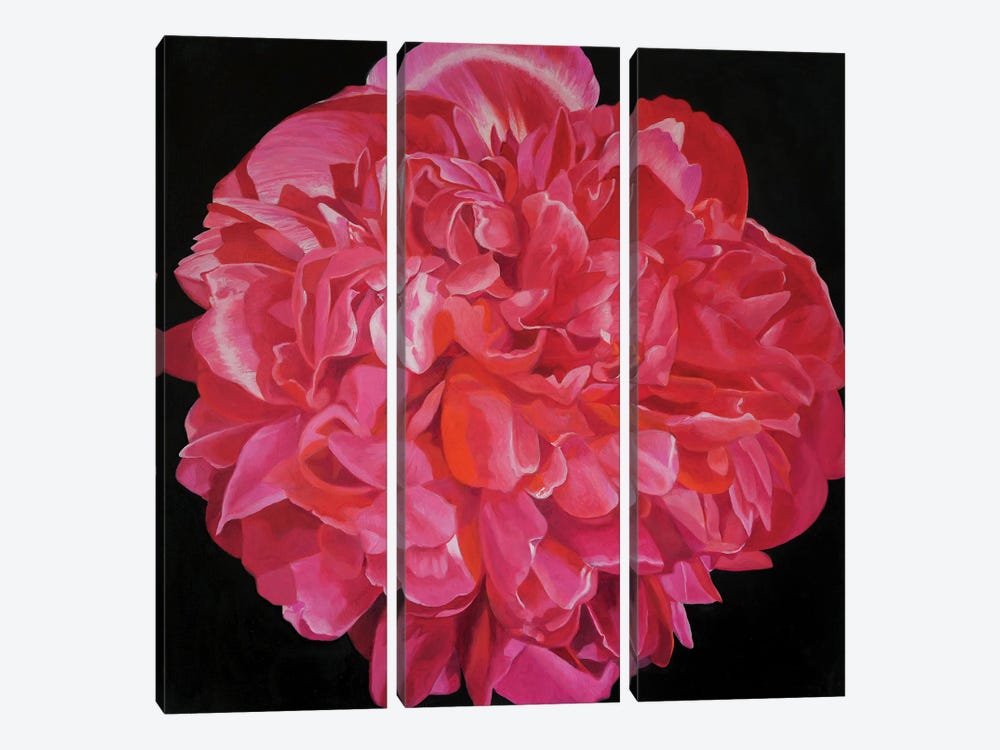 Pink Peony I by Richard Jurtitsch 3-piece Canvas Art Print