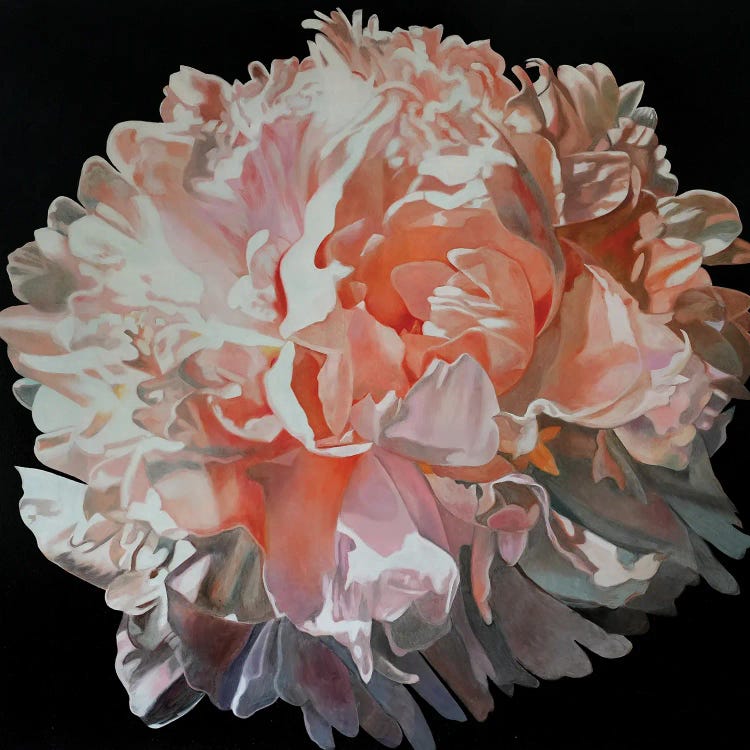 Pink Peony II