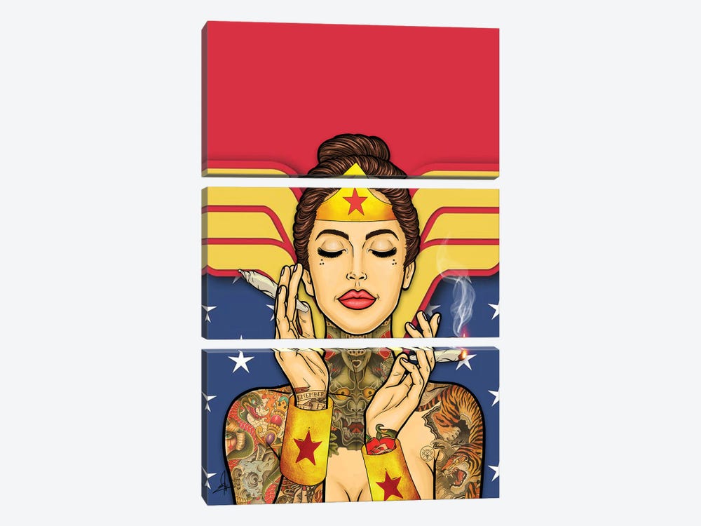 Wonder Woman Stoner 3-piece Canvas Print
