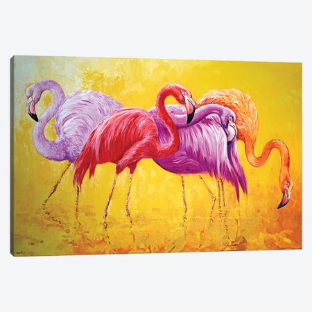 Flamingo Canvas Print #RKH111} by Rakhmet Redzhepov Art Print