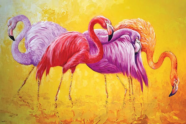Flamingos: Flamingo by Rakhmet Redzhepov