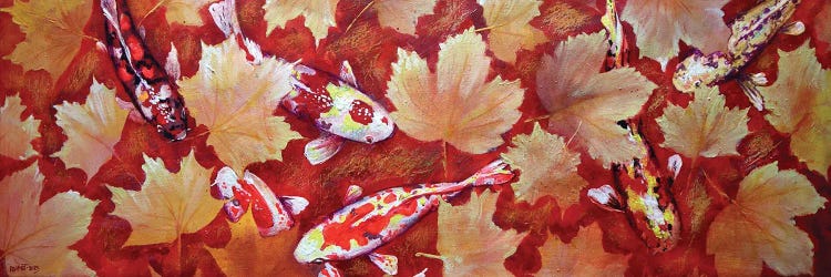 Yellow Leaves And Colored Koi Fish In Red Bottom Pool