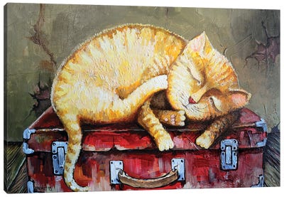 Old Suitcase Canvas Art Print - Rakhmet Redzhepov