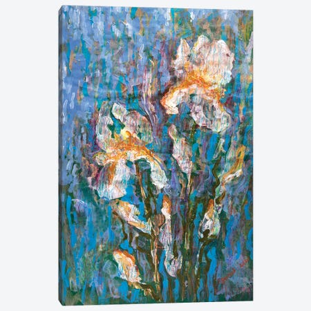 Heavenly Irises Canvas Print #RKH37} by Rakhmet Redzhepov Canvas Wall Art