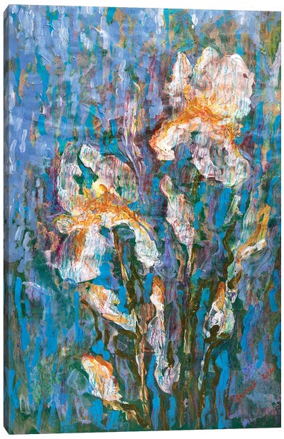 Heavenly Irises Canvas Art Print - Rakhmet Redzhepov
