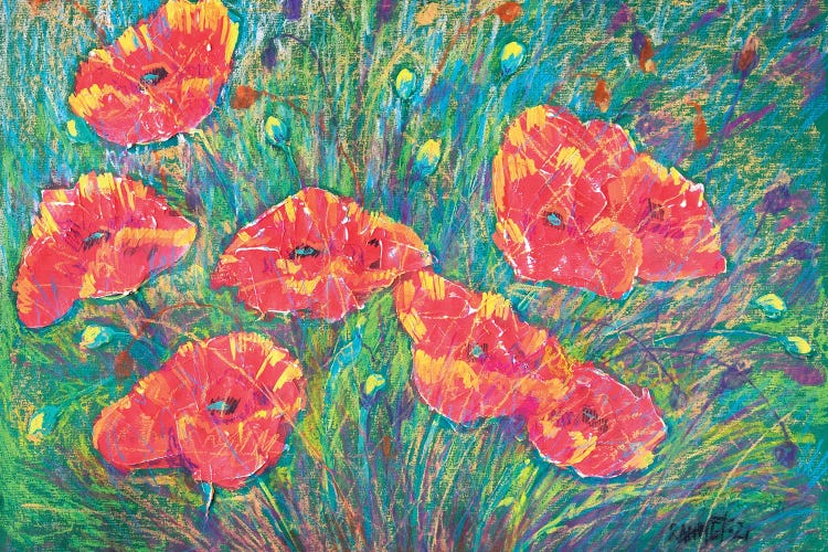 Poppies IV