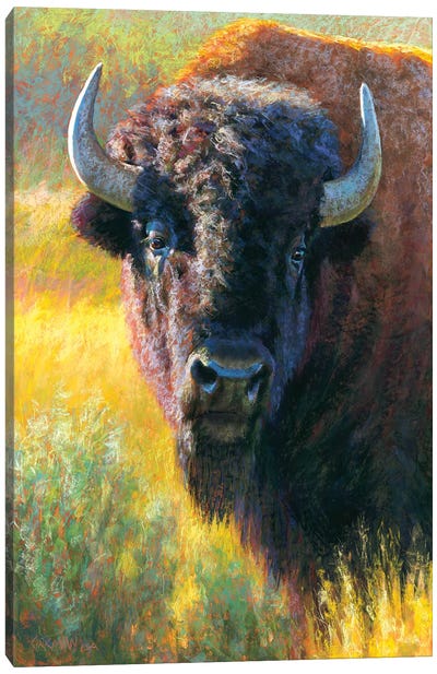 An American Heritage Canvas Art Print - Golden Hour Animals