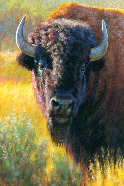 Golden Hour Animals: An American Heritage by Rita Kirkman