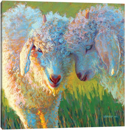 Bff Canvas Art Print - Sheep Art