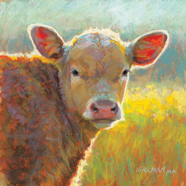 Golden Hour Animals: Colby by Rita Kirkman