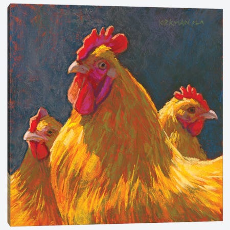 Charlie's Chickens Canvas Print #RKK28} by Rita Kirkman Art Print