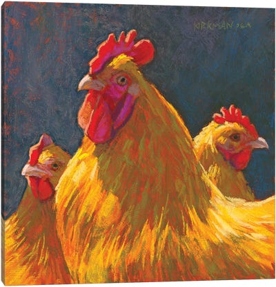 Charlie's Chickens Canvas Art Print - Golden Hour Animals