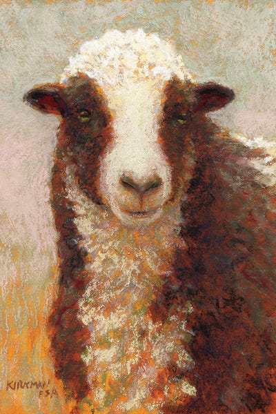 Sheep: Cloudy by Rita Kirkman