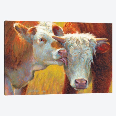 Cow Lick Canvas Print #RKK37} by Rita Kirkman Canvas Art Print