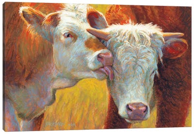 Cow Lick Canvas Art Print - Golden Hour Animals