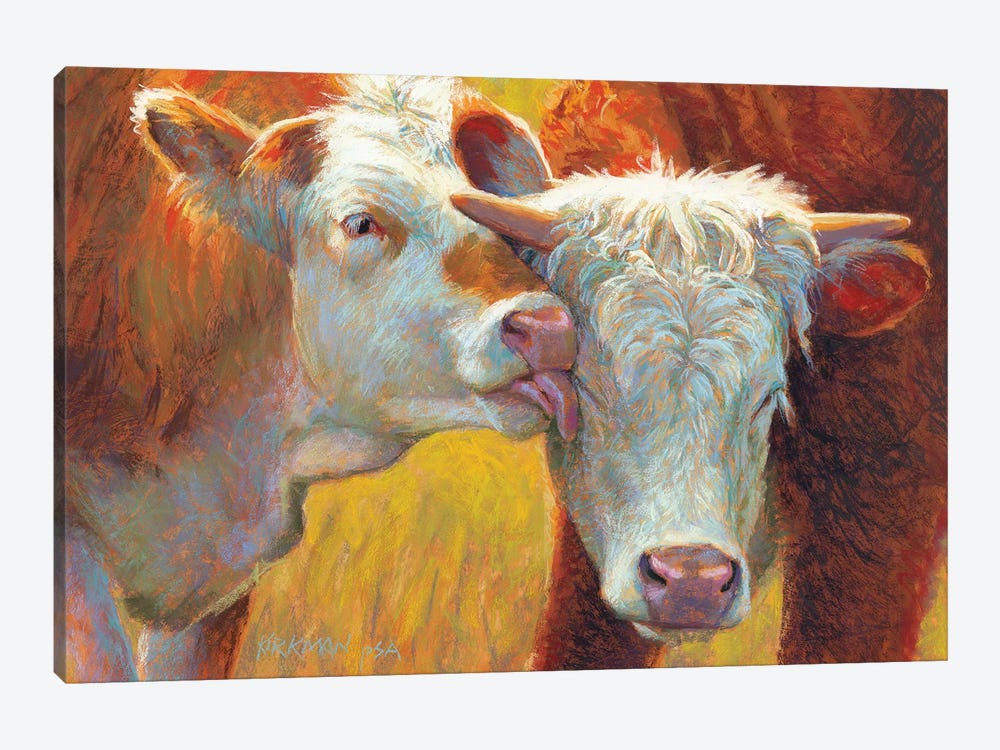 Cow Lick by Rita Kirkman 1-piece Canvas Print