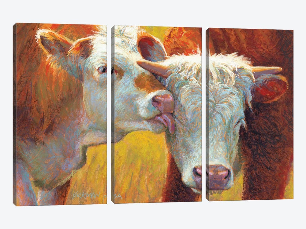 Cow Lick by Rita Kirkman 3-piece Canvas Art Print