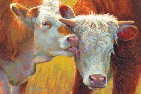 Golden Hour Animals: Cow Lick by Rita Kirkman