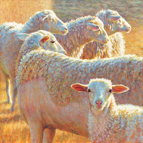 Sheep: They Don't See What She Sees by Rita Kirkman
