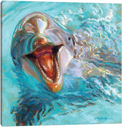 D Is For Dolphin Canvas Art Print - Dolphin Art