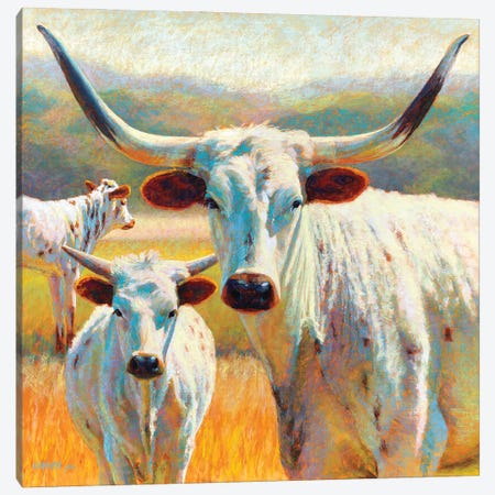 Dawn Od A Texan Dynasty Canvas Print #RKK43} by Rita Kirkman Canvas Art Print