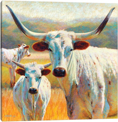 Dawn Od A Texan Dynasty Canvas Art Print - Longhorn Art
