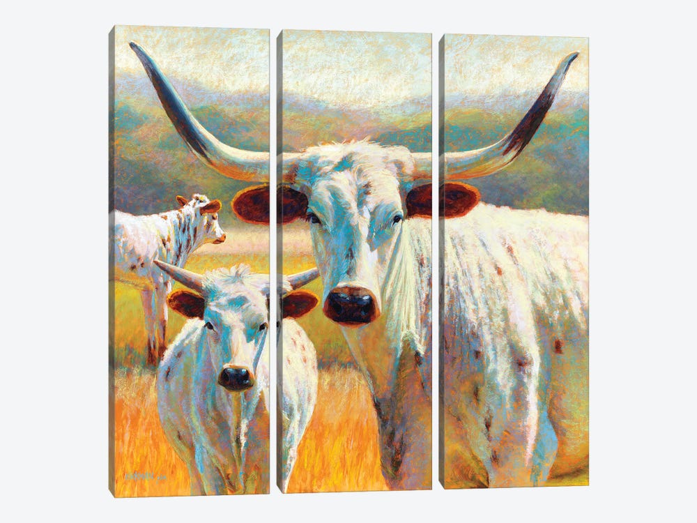 Dawn Od A Texan Dynasty by Rita Kirkman 3-piece Canvas Art