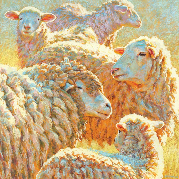 Deep Sheep by Rita Kirkman wall art