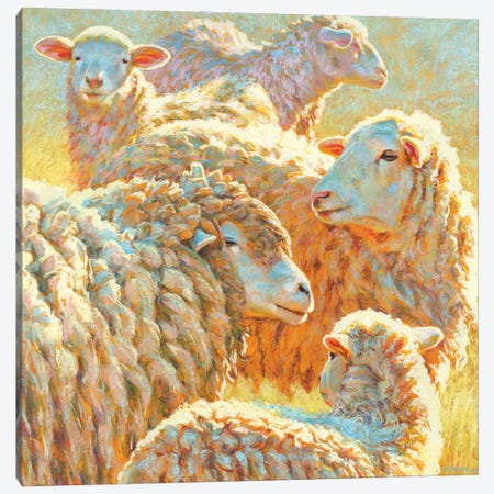 Deep Sheep Canvas Print #RKK44} by Rita Kirkman Canvas Wall Art
