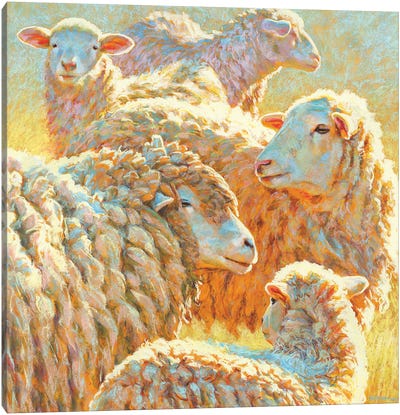 Deep Sheep Canvas Art Print - Golden Hour Animals