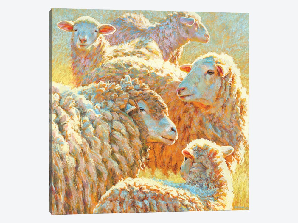 Deep Sheep by Rita Kirkman 1-piece Canvas Print