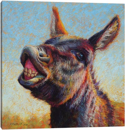 Don Keyote Canvas Art Print - Donkey Art