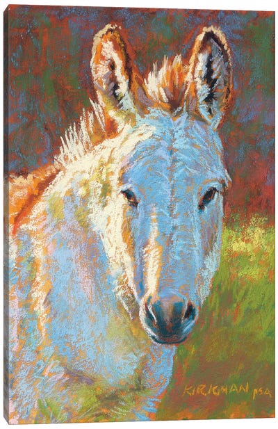 Donna Kylily Canvas Art Print - Donkey Art
