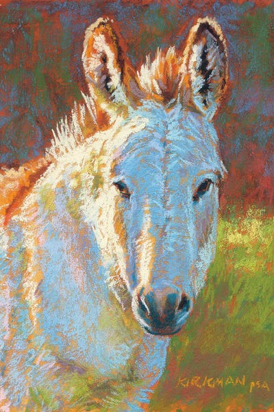 Donkeys: Donna Kylily by Rita Kirkman