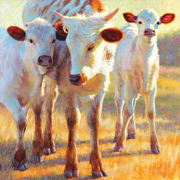 Golden Hour Animals: The Lost Prince by Rita Kirkman