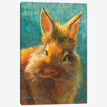 Dust Bunny Canvas Print #RKK51} by Rita Kirkman Canvas Art