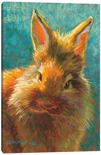 Dust Bunny Canvas Art Print - Golden Hour Animals