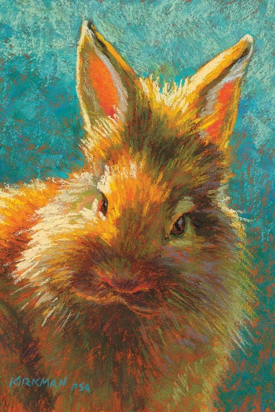 Golden Hour Animals: Dust Bunny by Rita Kirkman