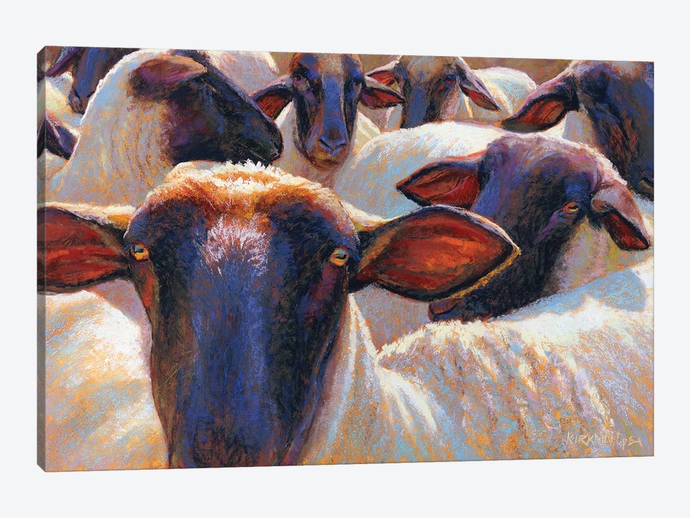 Eight Or Nine Sheep by Rita Kirkman 1-piece Canvas Print
