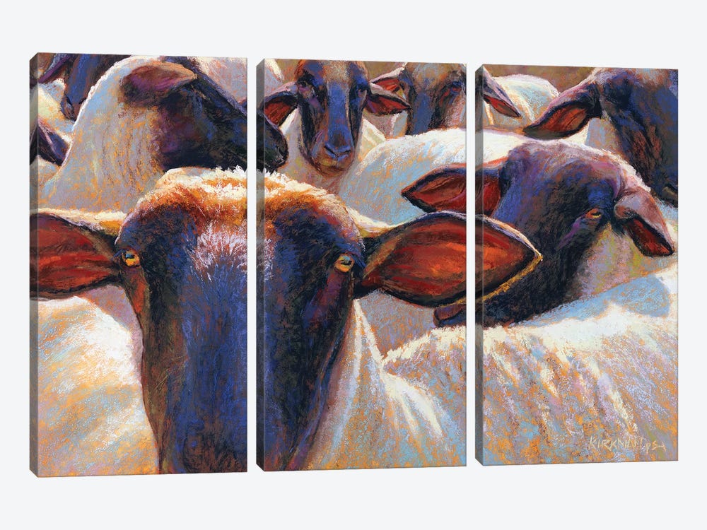 Eight Or Nine Sheep by Rita Kirkman 3-piece Canvas Print