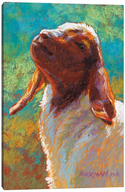 Gumshu Canvas Art Print - Golden Hour Animals